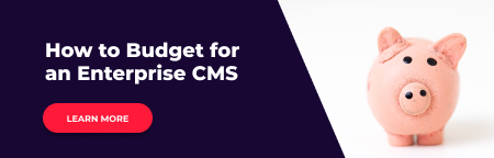 How to Budget for an Enterprise CMS
